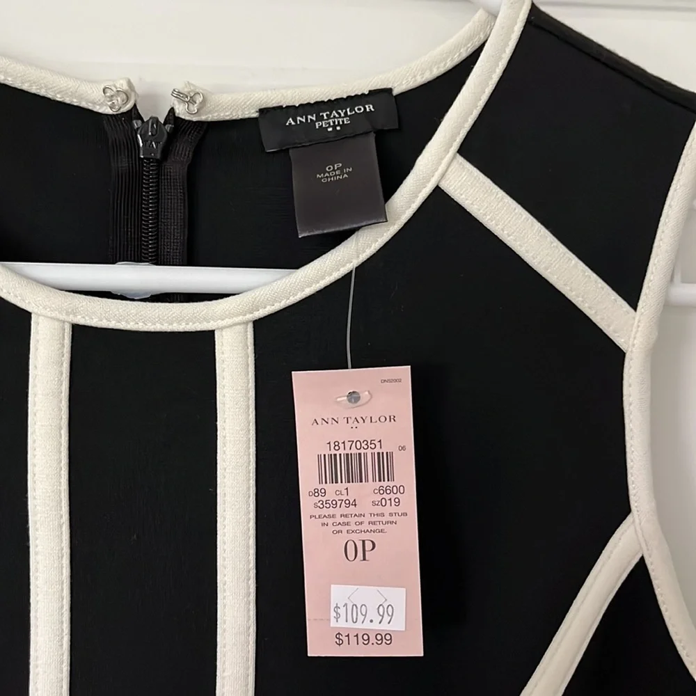 Ann Taylor Work Dress - Picture 2 of 3